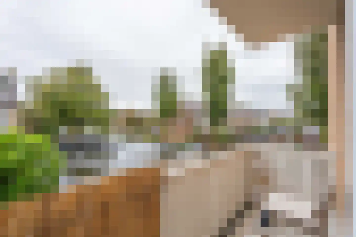 Mauritsstraat 19 Voorhout thumbnail 35