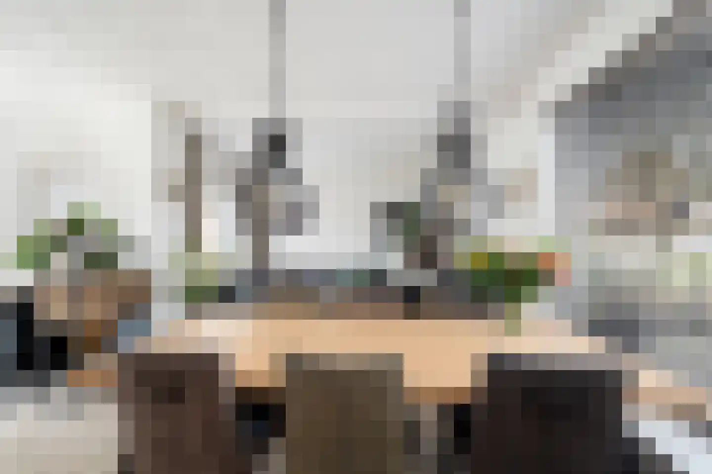 Mauritsstraat 2 Schijndel thumbnail 8