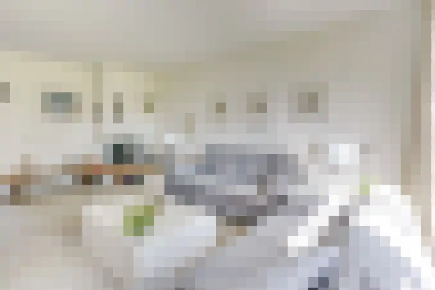Mauritsstraat 21 Vianen thumbnail 12