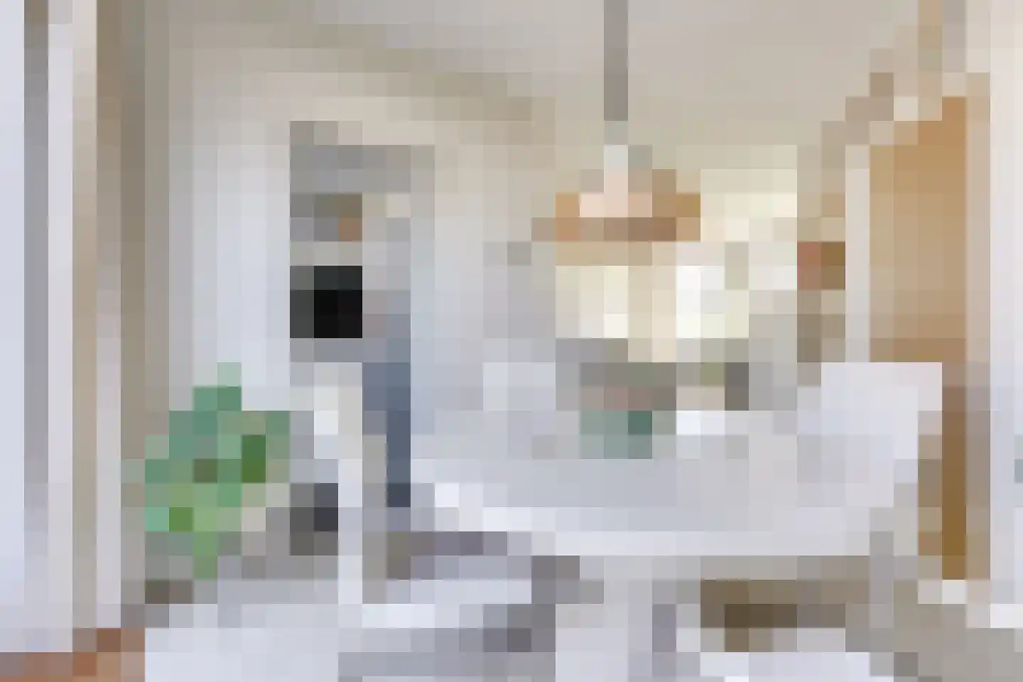 Mauritsstraat 21 Vianen thumbnail 16