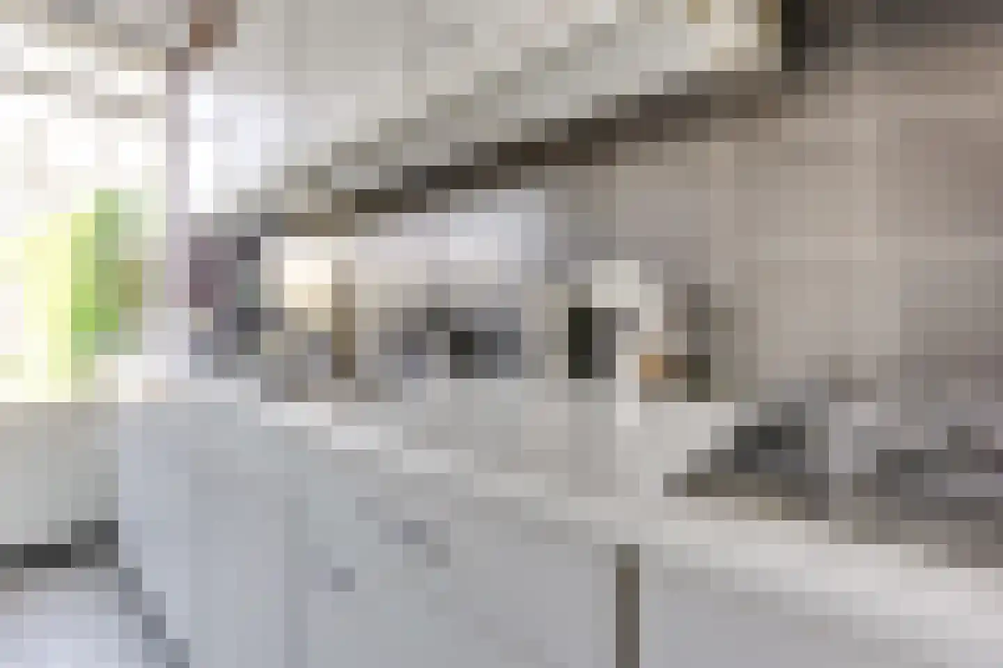 Mauritsstraat 21 Vianen thumbnail 19