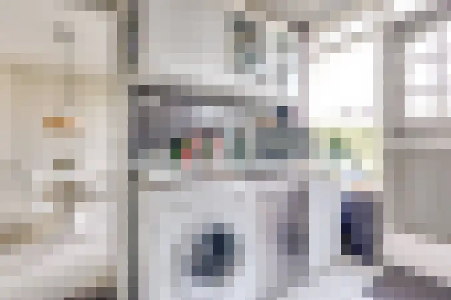 Mauritsstraat 21 Vianen thumbnail 22