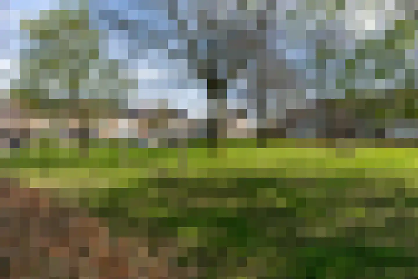 Mauritsstraat 21 Vianen thumbnail 4