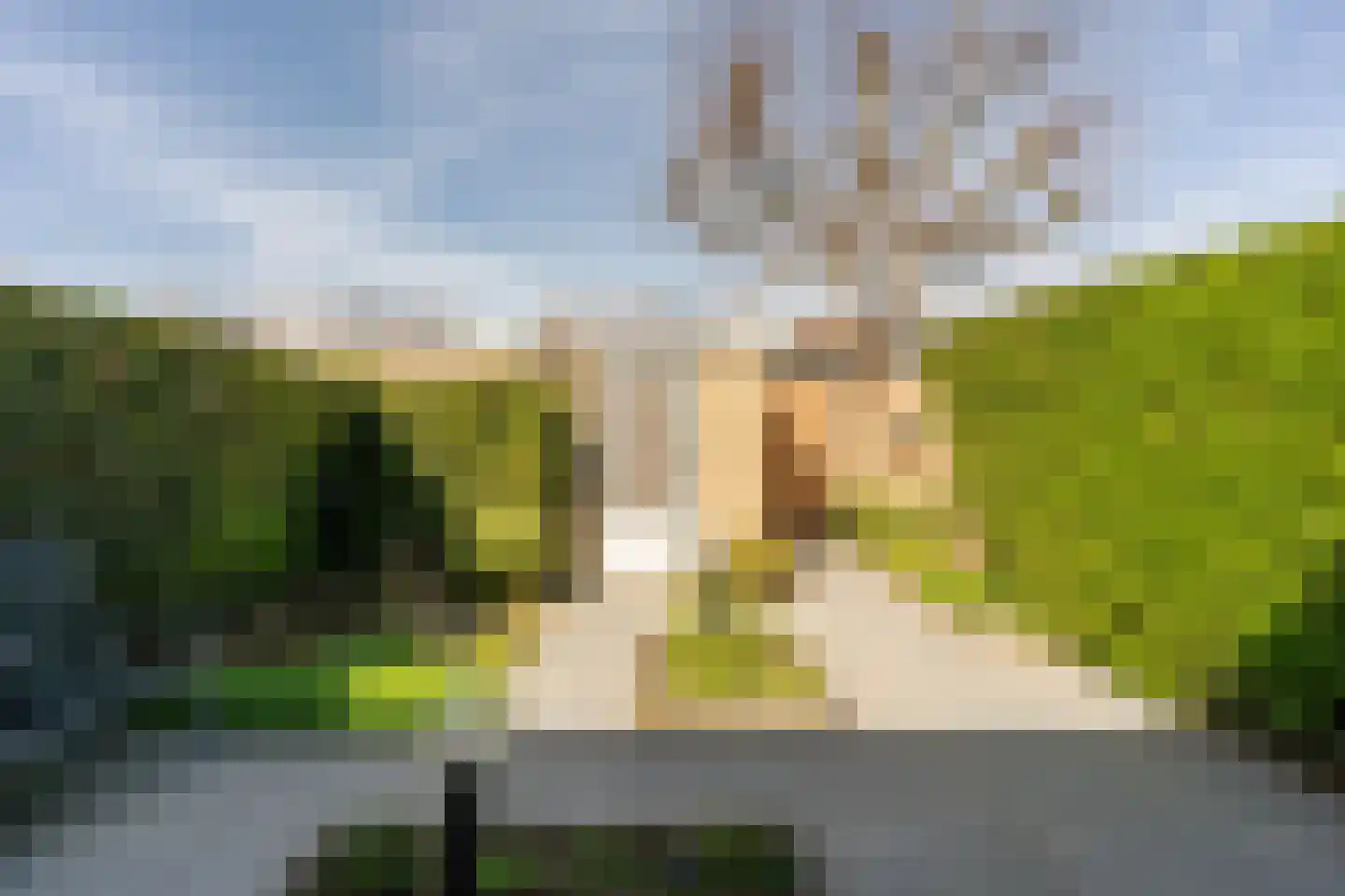 Mauritsstraat 21 Vianen thumbnail 51