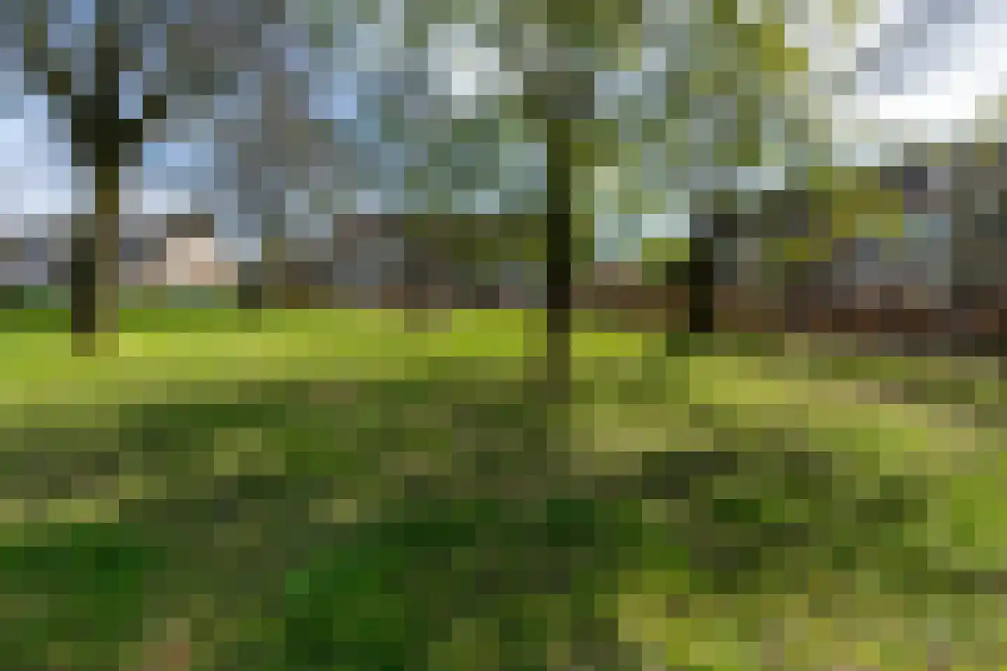 Mauritsstraat 21 Vianen thumbnail 59