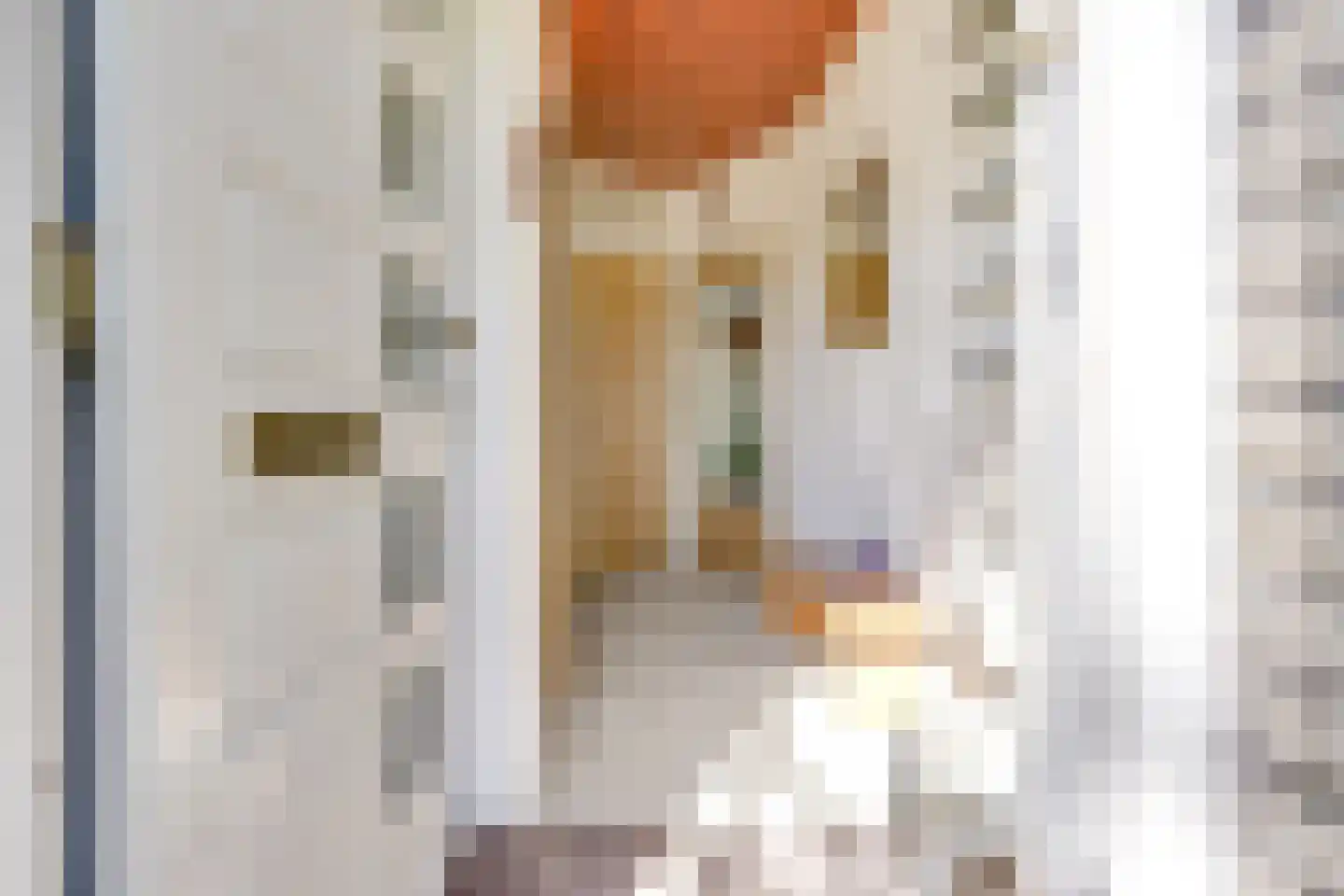 Mauritsstraat 21 Vianen thumbnail 6