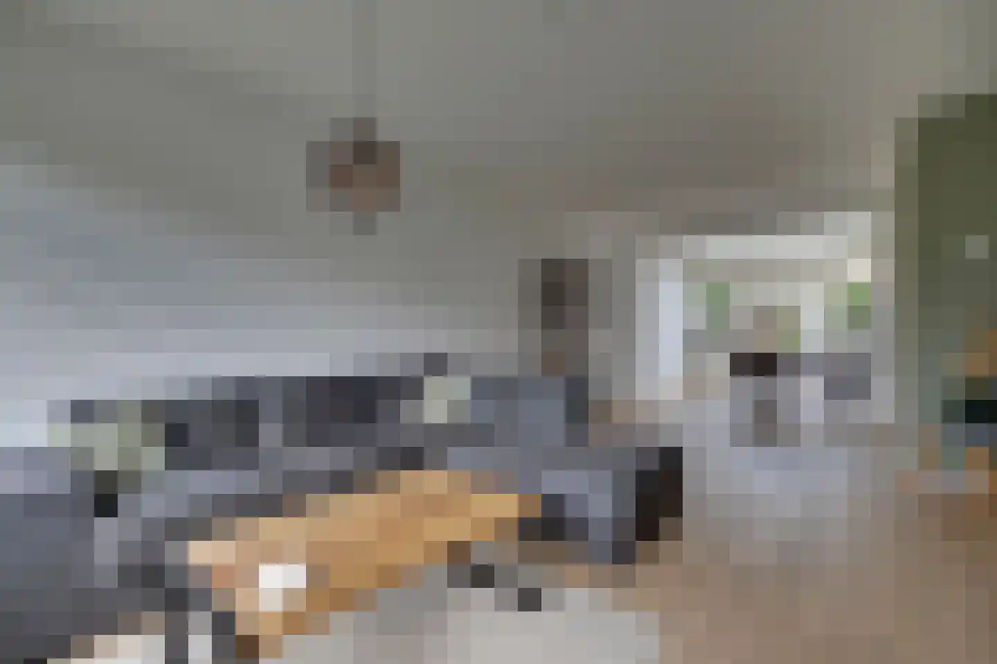 Mauritsstraat 22 Lobith thumbnail 11