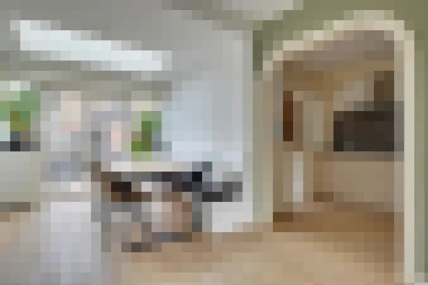Mauritsstraat 22 Lobith thumbnail 12