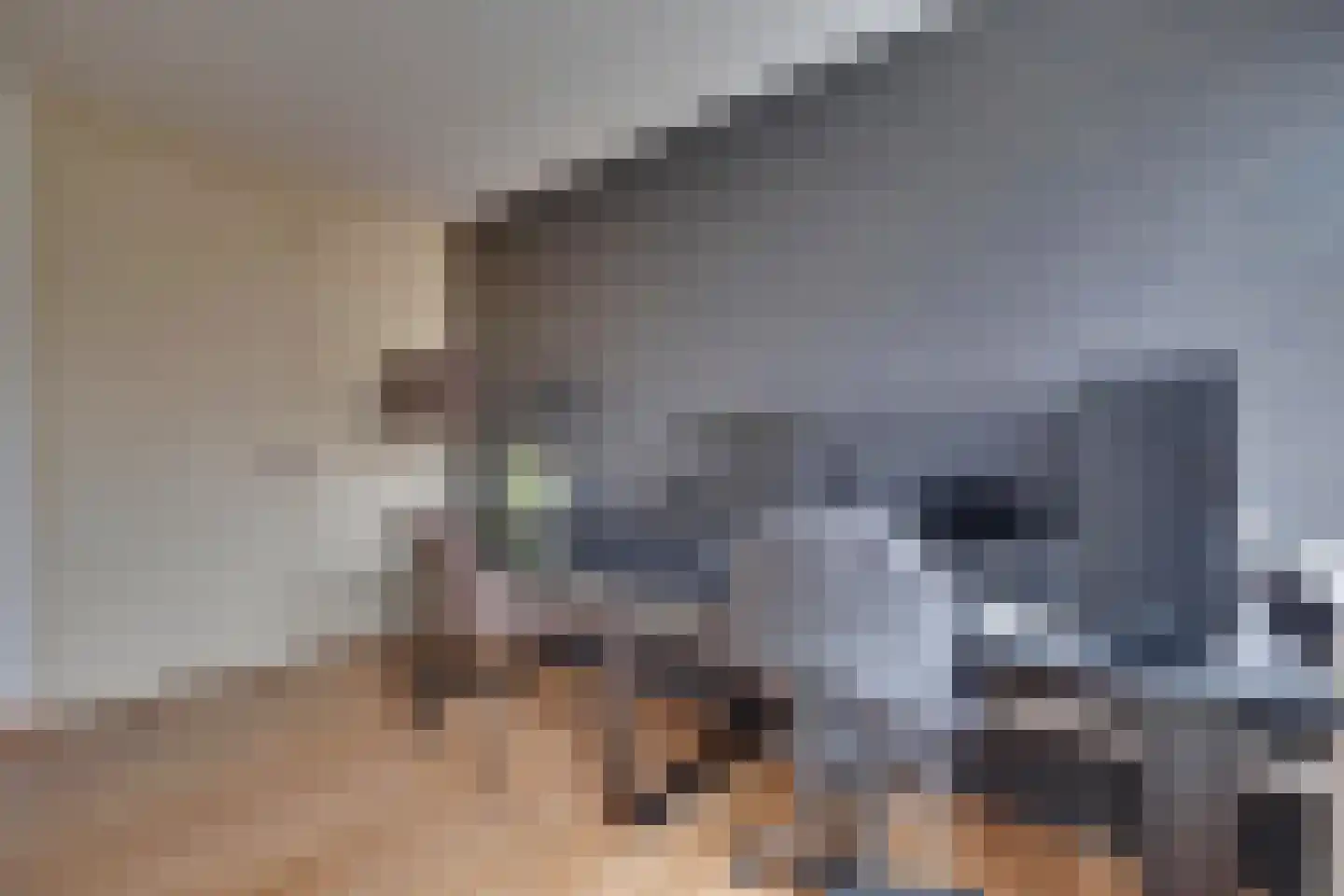 Mauritsstraat 22 Lobith thumbnail 22