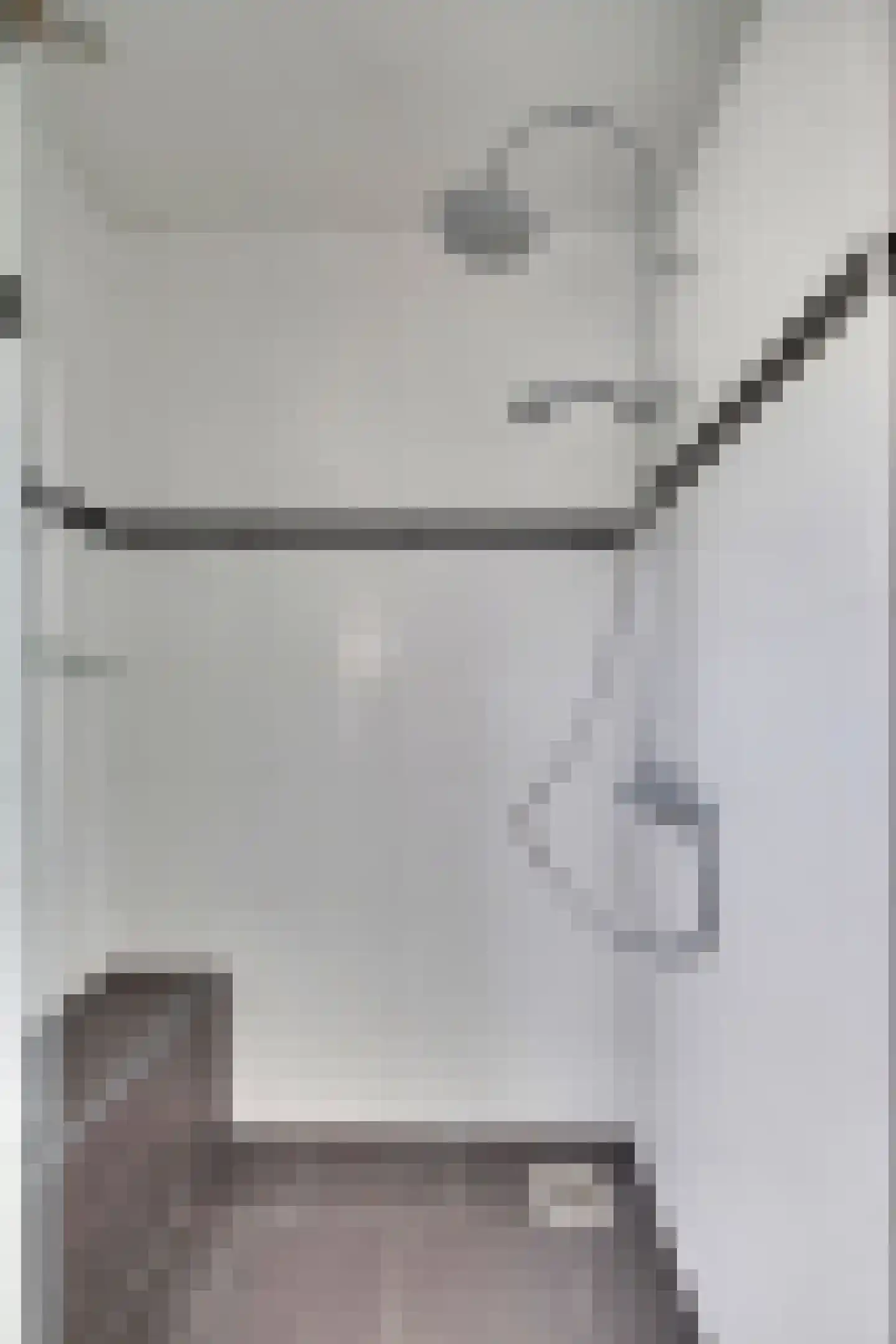 Mauritsstraat 22 Lobith thumbnail 24