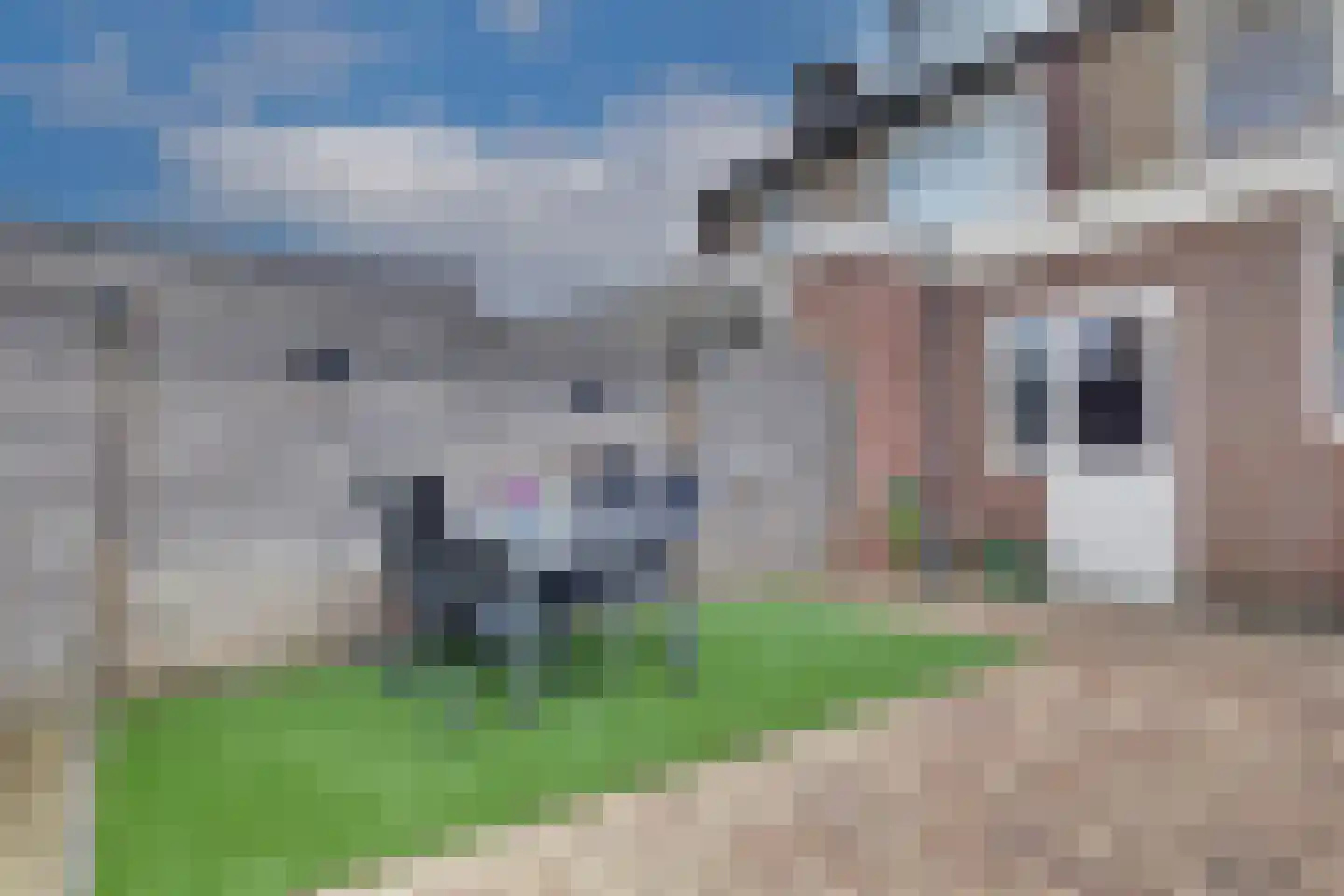 Mauritsstraat 22 Lobith thumbnail 29