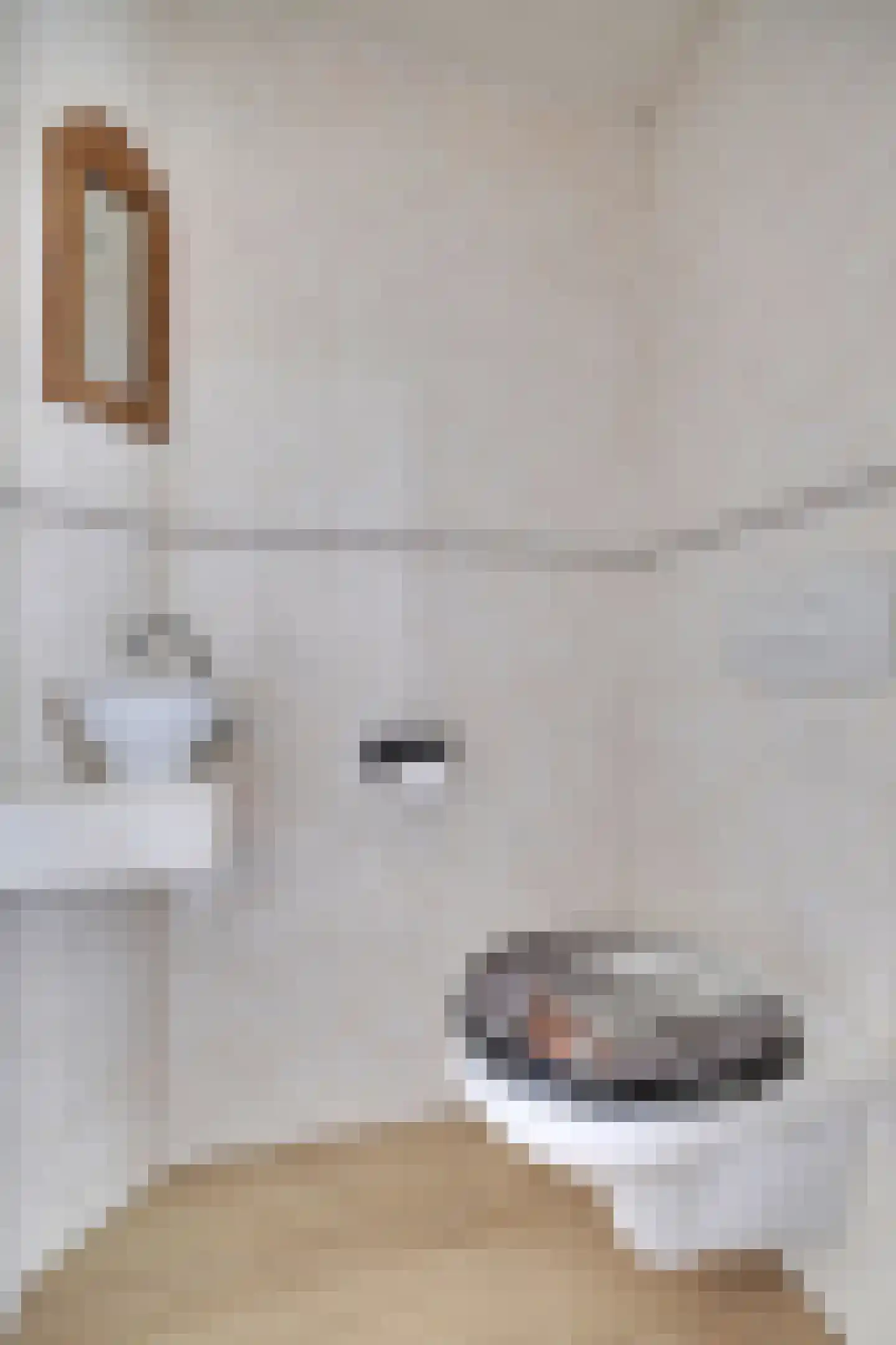 Mauritsstraat 22 Lobith thumbnail 9