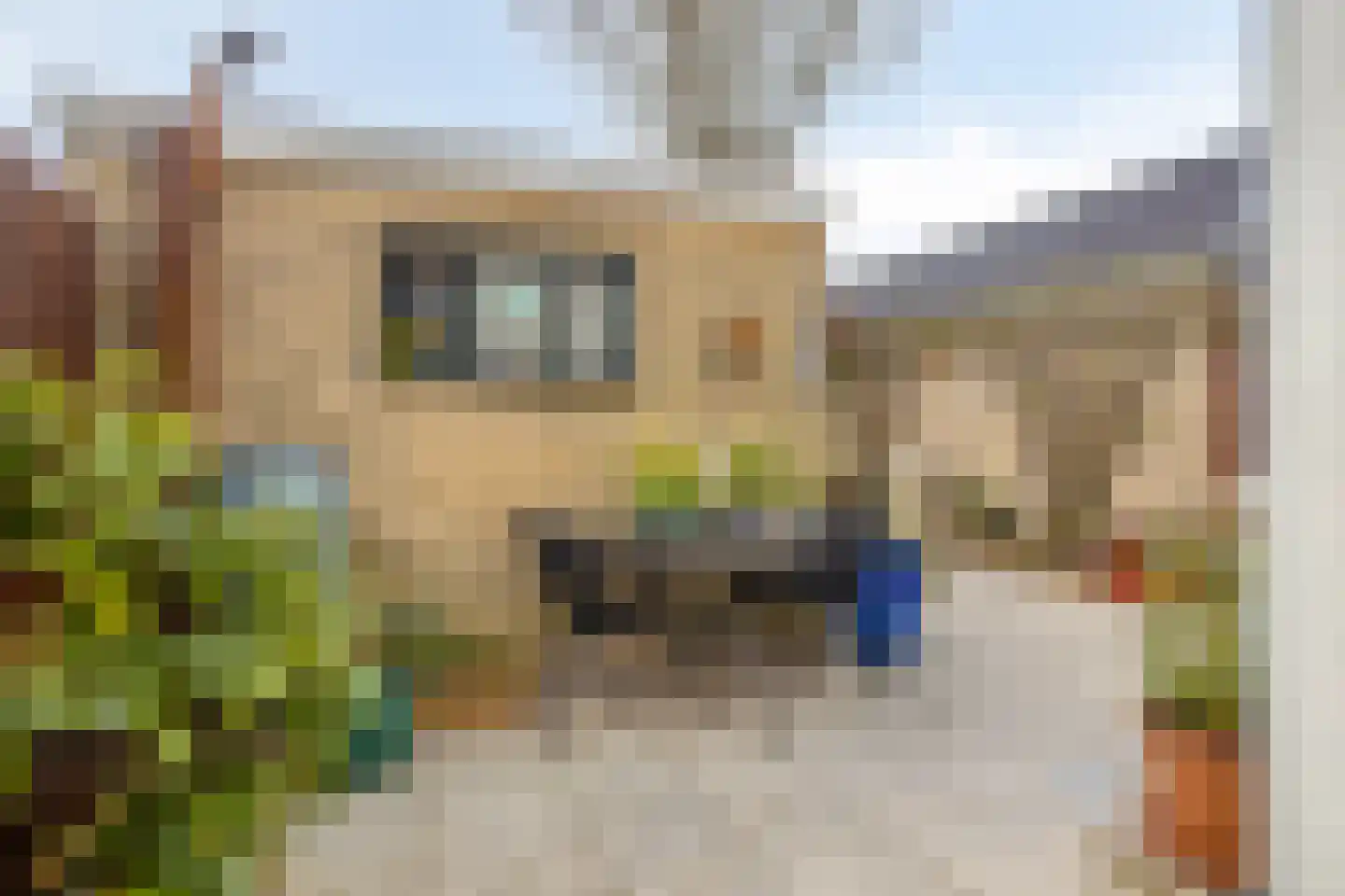 Mauritsstraat 22 Nieuw-Beijerland thumbnail 21
