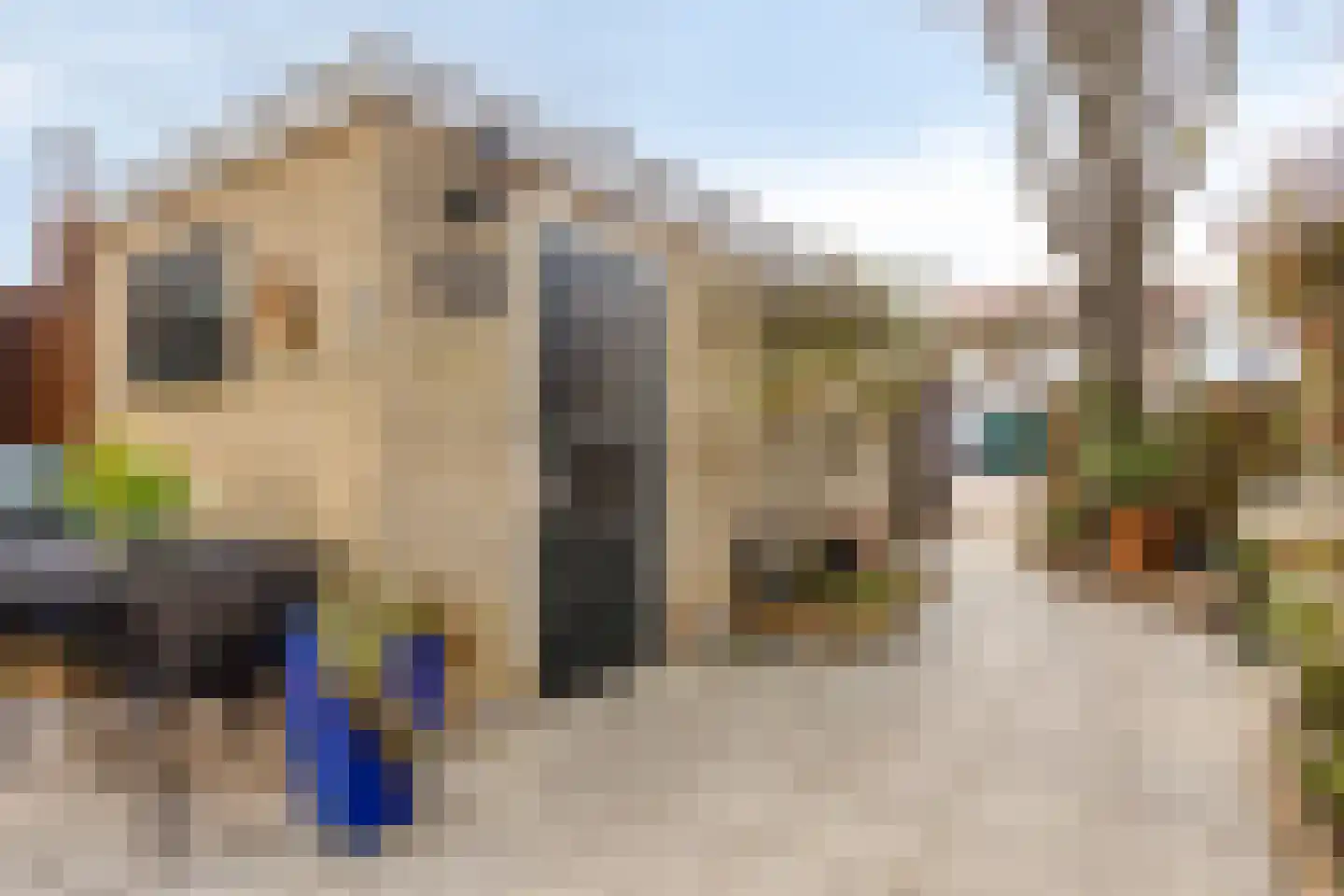 Mauritsstraat 22 Nieuw-Beijerland thumbnail 22