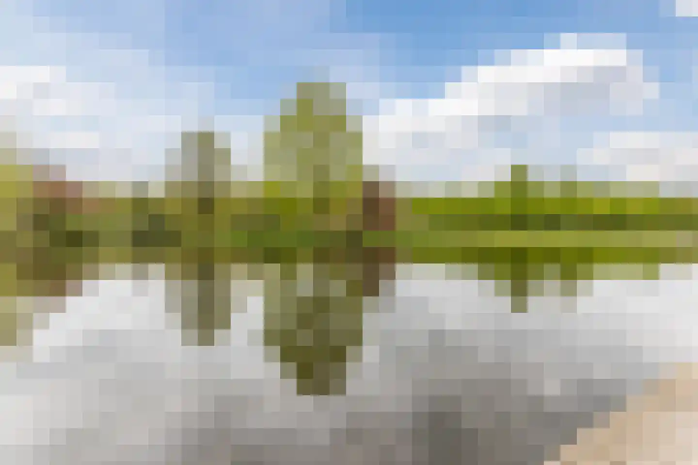 Mauritsstraat 22 Sint-Oedenrode thumbnail 26