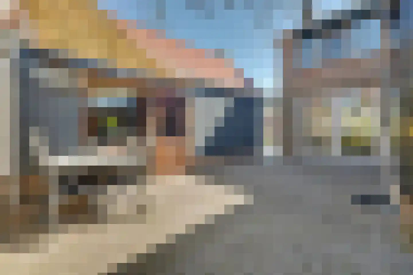 Mauritsstraat 23 Kapelle thumbnail 30