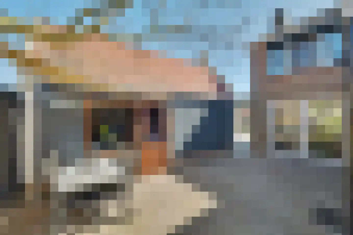 Mauritsstraat 23 Kapelle thumbnail 31