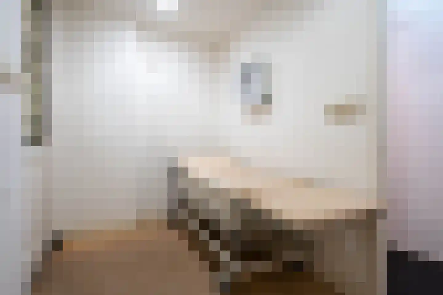 Mauritsstraat 24 Breda thumbnail 17