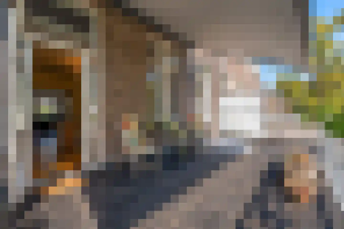 Mauritsstraat 24 Breda thumbnail 34