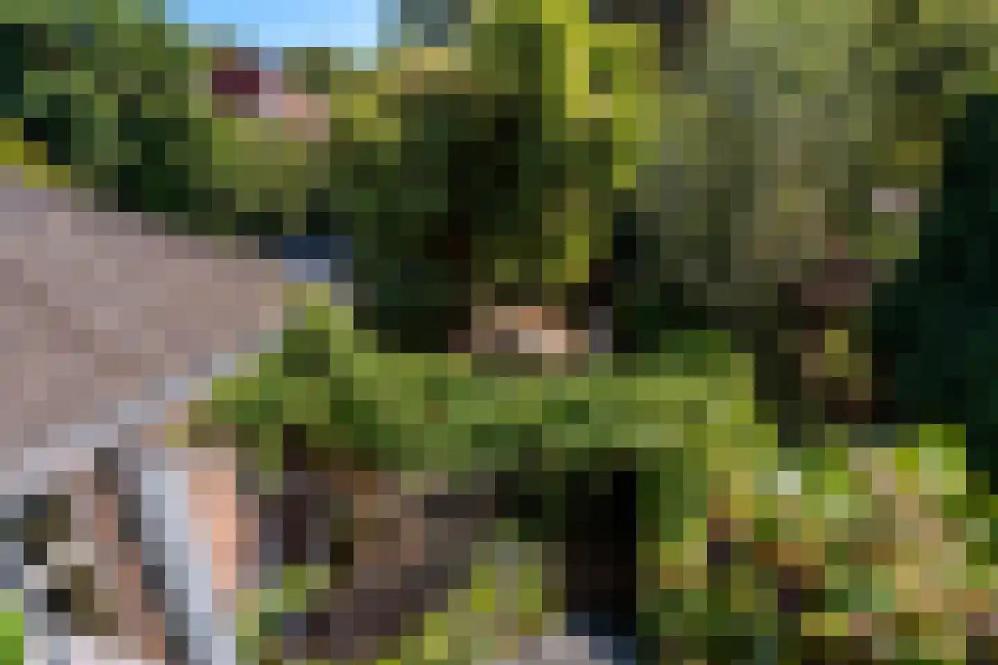 Mauritsstraat 24 Breda thumbnail 36