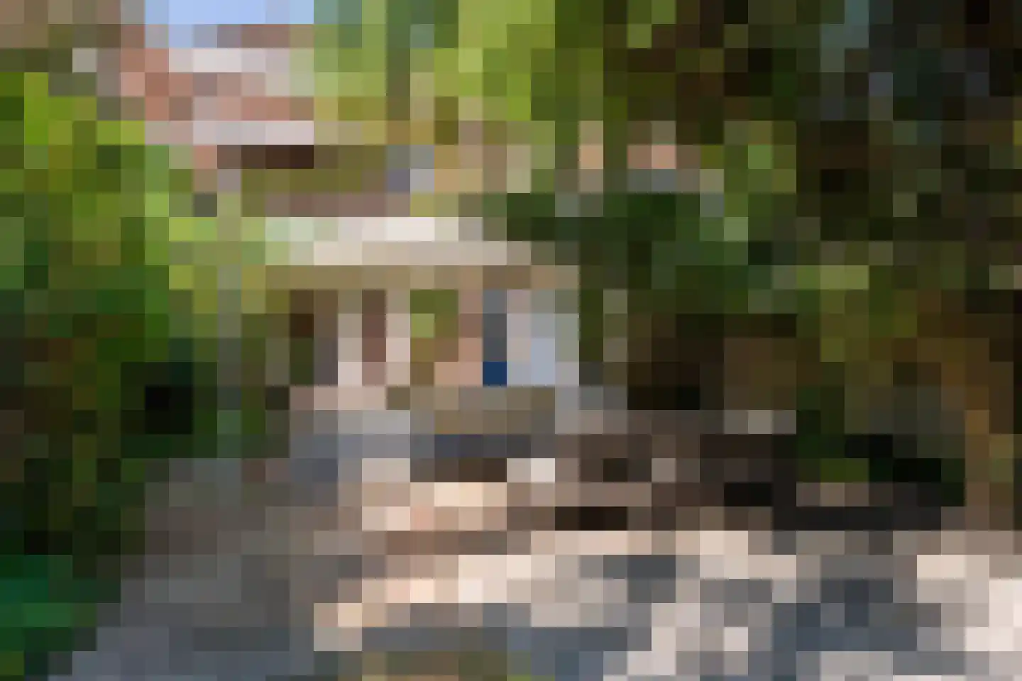 Mauritsstraat 24 Breda thumbnail 50