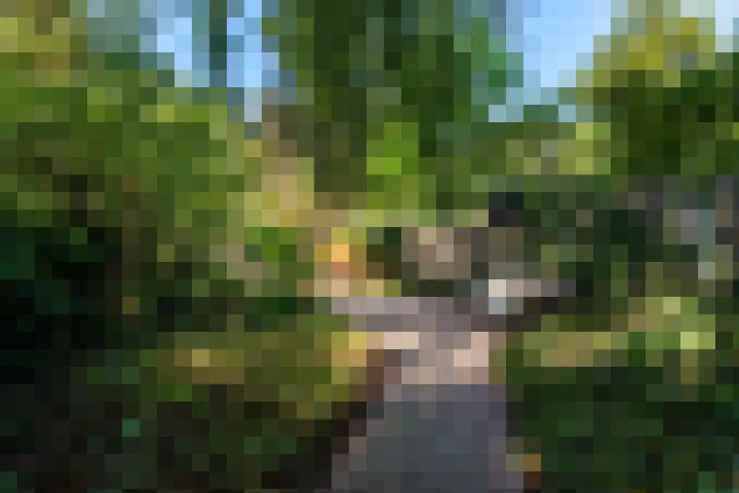 Mauritsstraat 24 Breda thumbnail 53