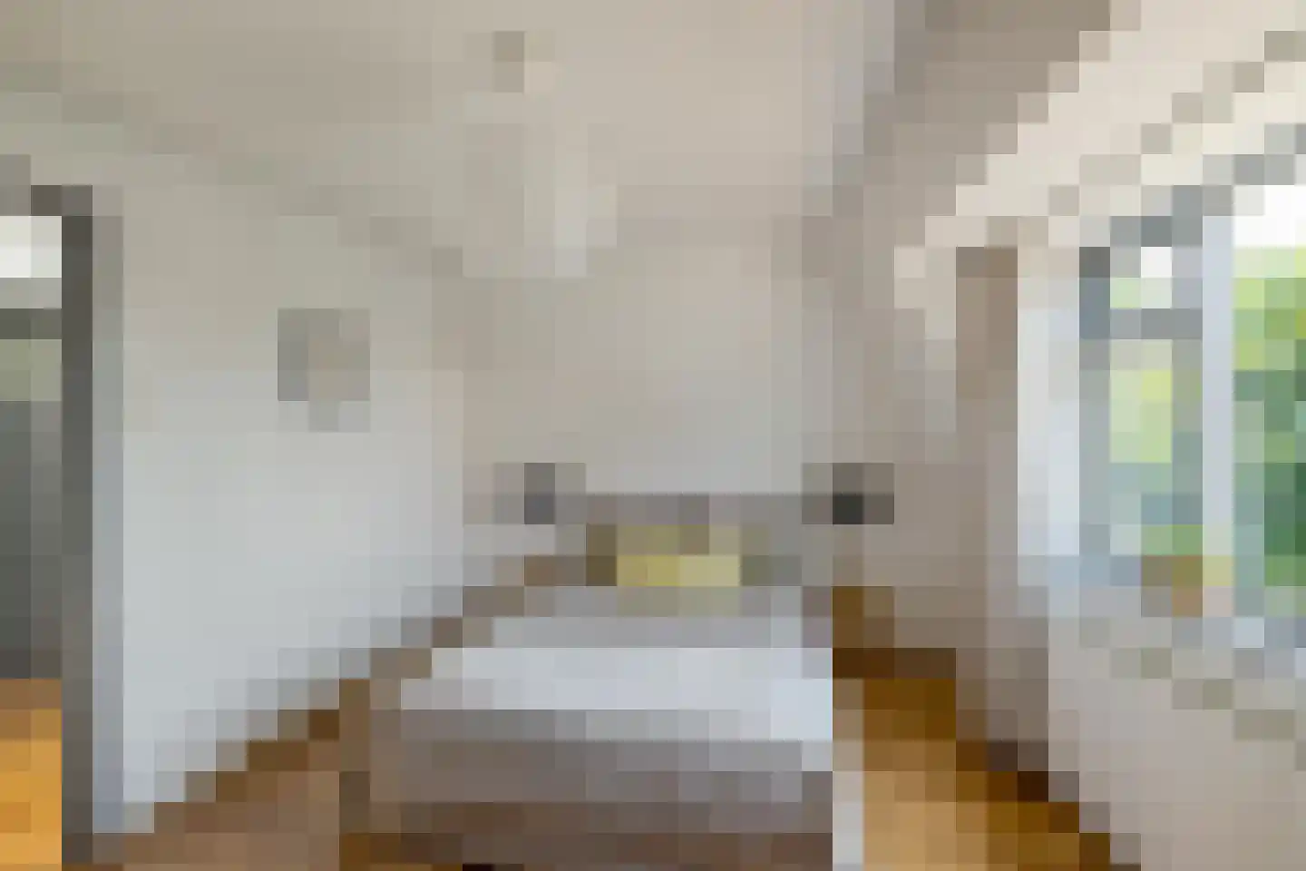Mauritsstraat 26 Groningen thumbnail 23