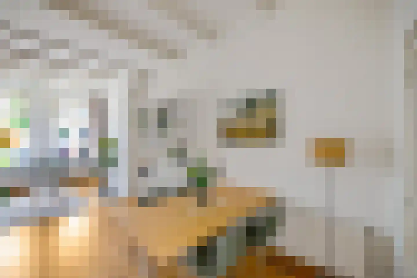 Mauritsstraat 26 Groningen thumbnail 9