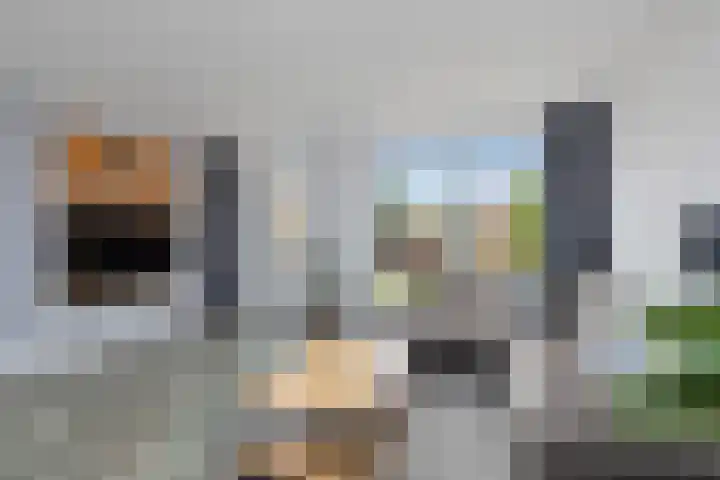 Mauritsstraat 26 't Zand thumbnail 10