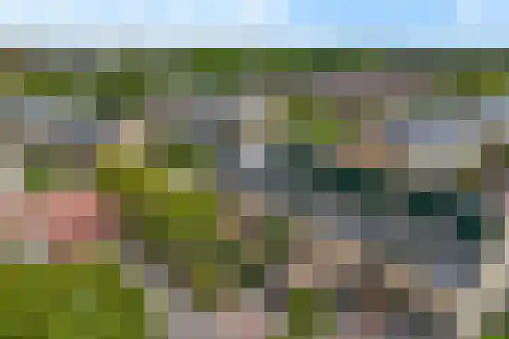 Mauritsstraat 26 't Zand thumbnail 30