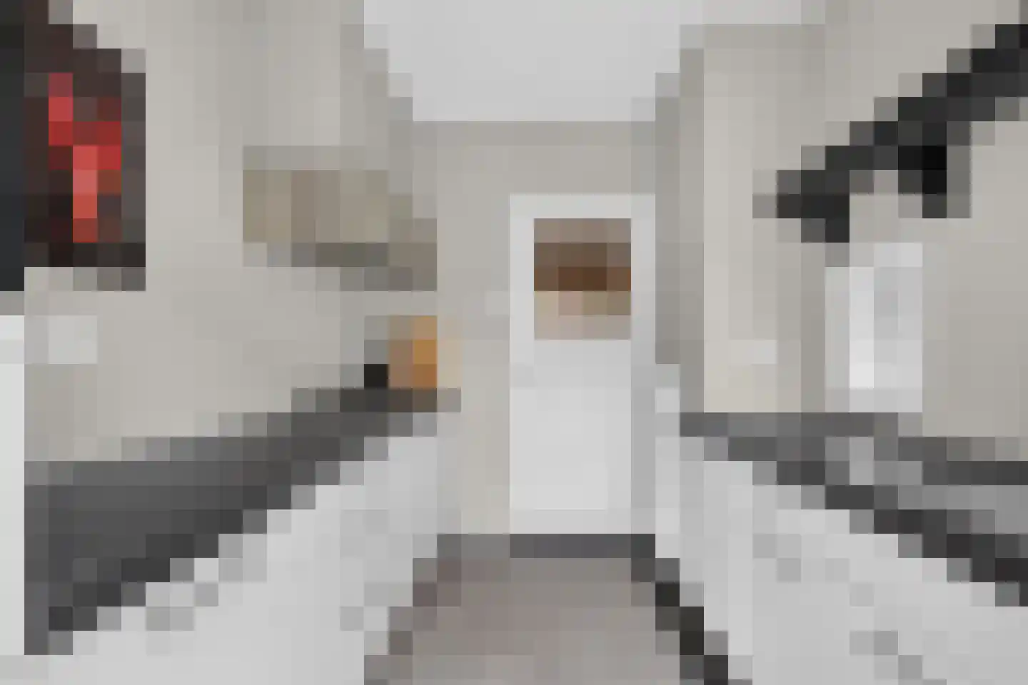 Mauritsstraat 28 Eindhoven thumbnail 18