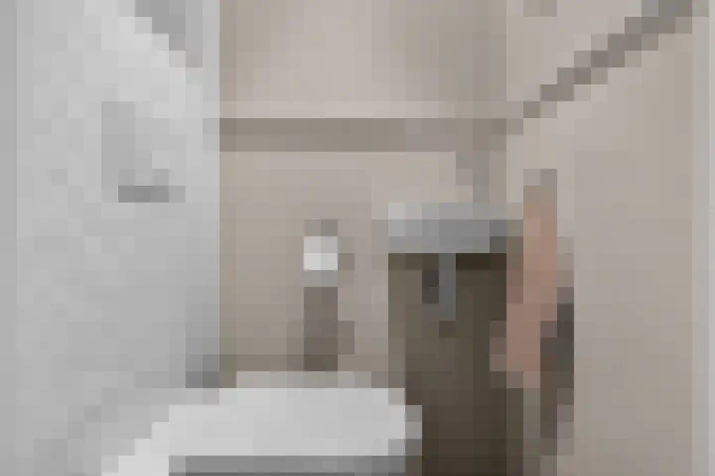 Mauritsstraat 28 Eindhoven thumbnail 24