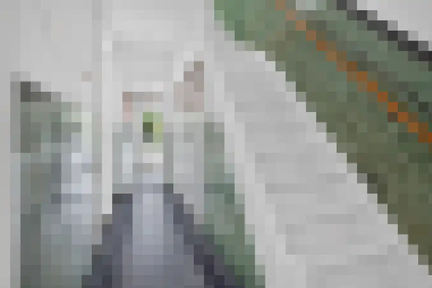 Mauritsstraat 28 Eindhoven thumbnail 25