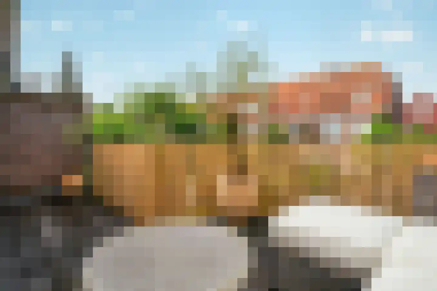 Mauritsstraat 28 Eindhoven thumbnail 32