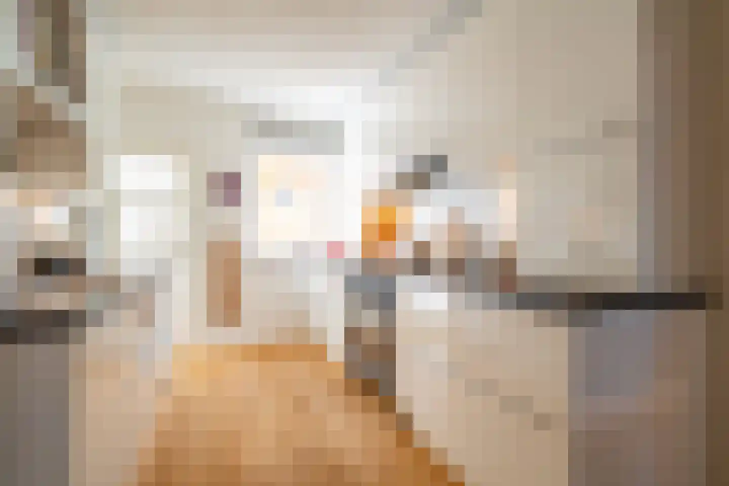 Mauritsstraat 28 Groningen thumbnail 32