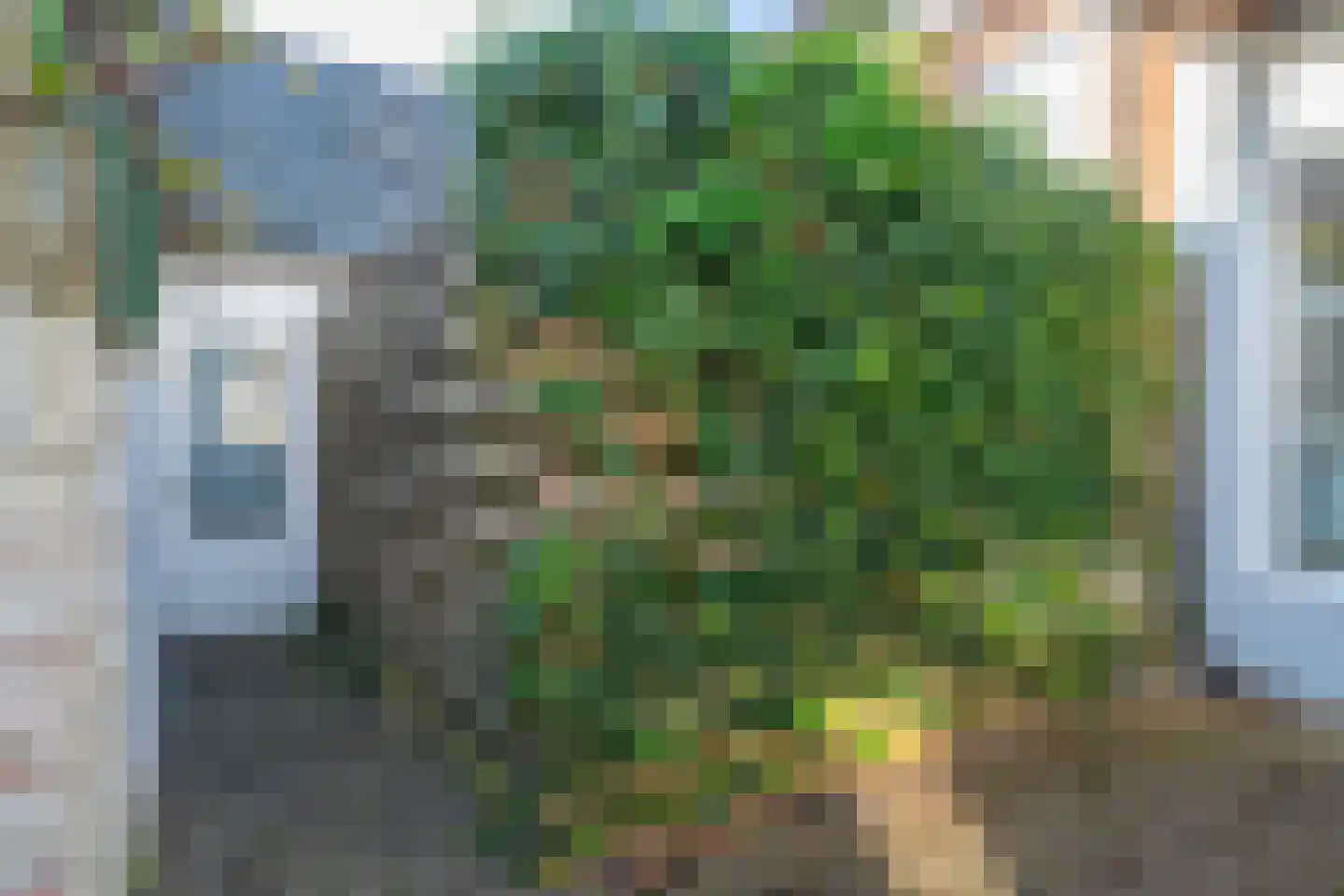Mauritsstraat 28 Groningen thumbnail 59