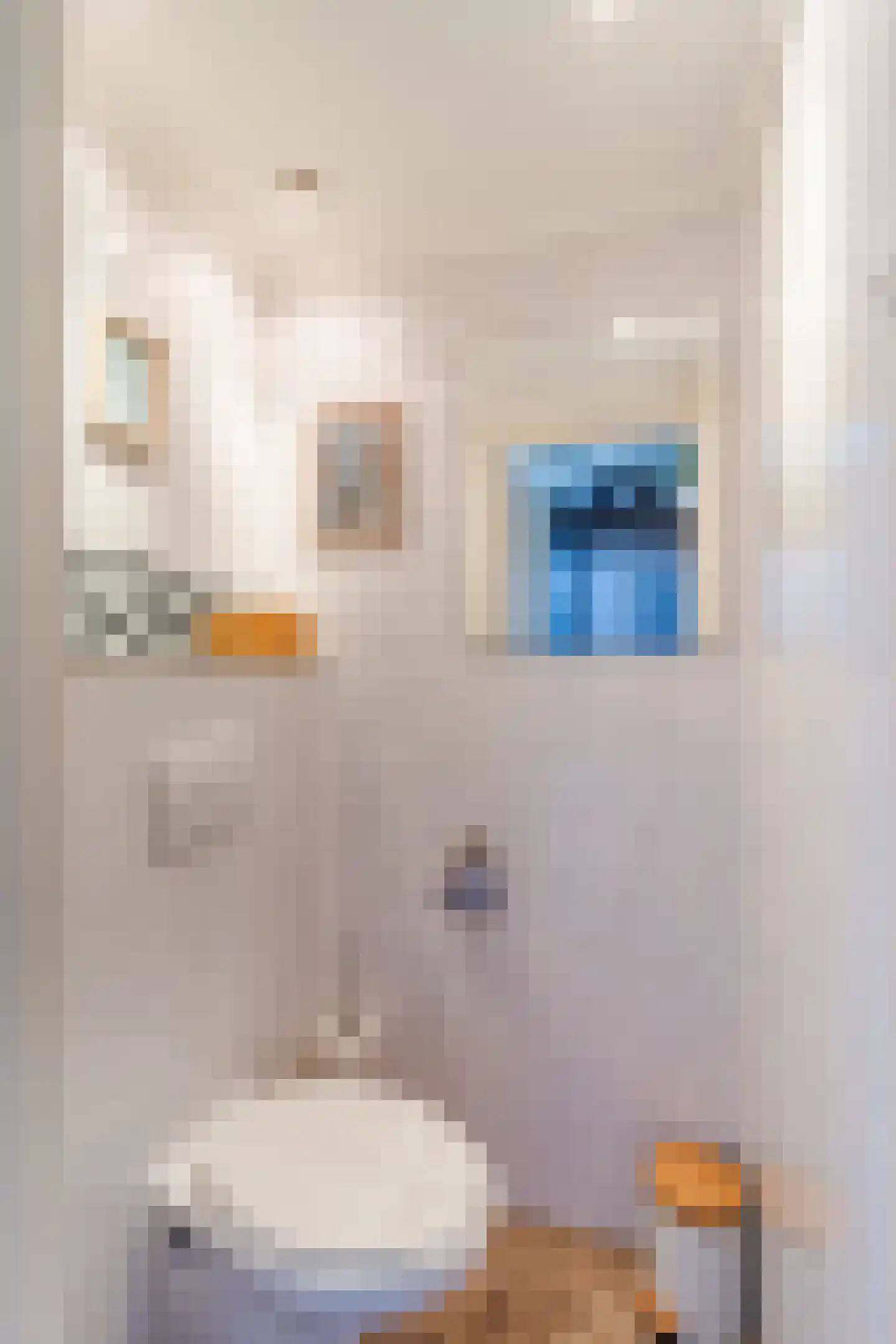 Mauritsstraat 3 Moerkapelle thumbnail 9
