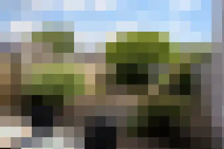 Mauritsstraat 3 Veldhoven thumbnail 23