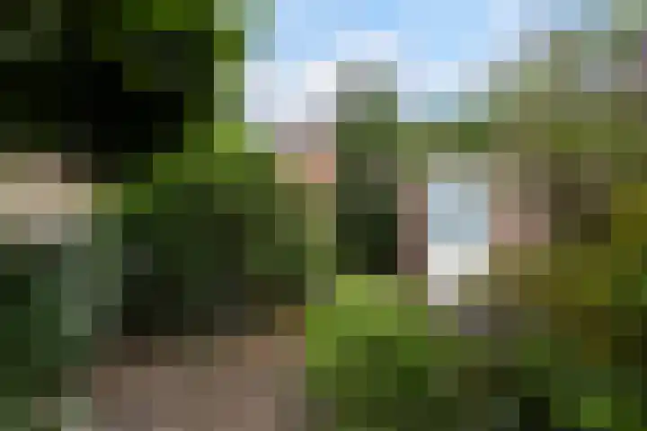 Mauritsstraat 3 Veldhoven thumbnail 25