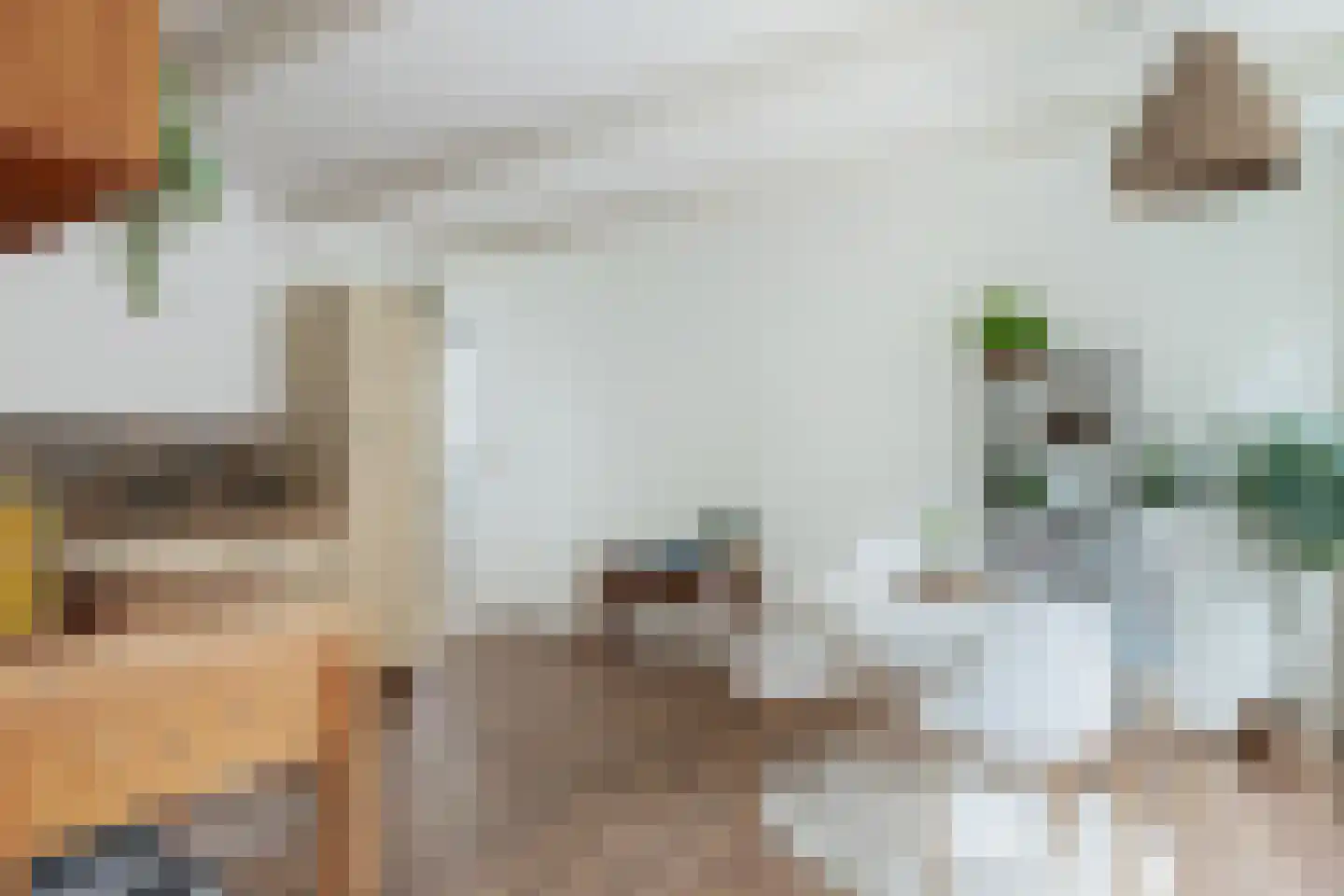 Mauritsstraat 30 Groningen thumbnail 20