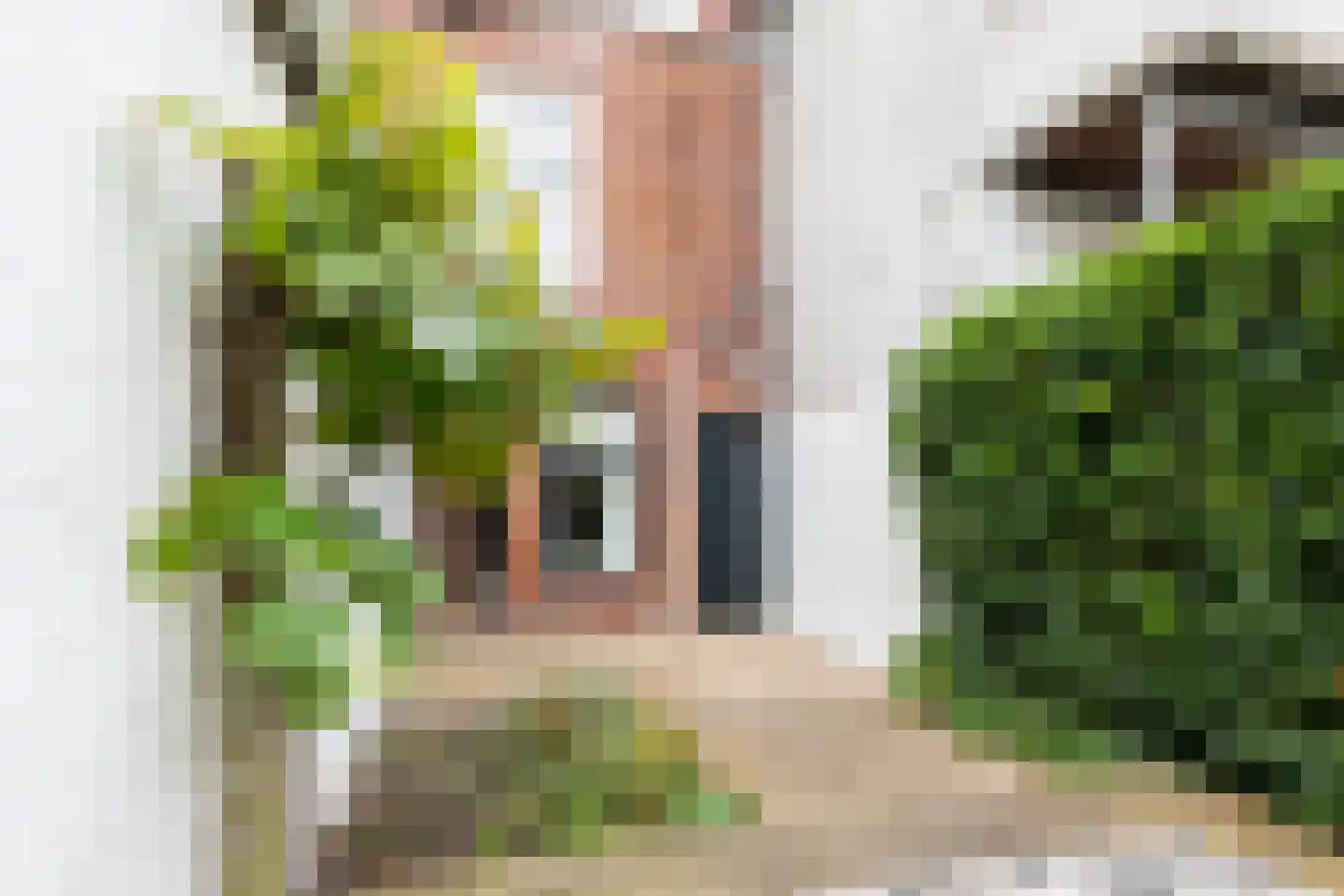 Mauritsstraat 30 Groningen thumbnail 40