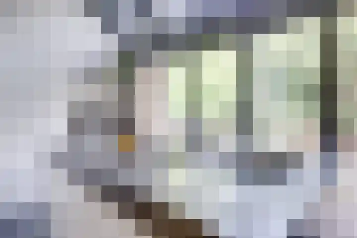 Mauritsstraat 32 Utrecht thumbnail 25