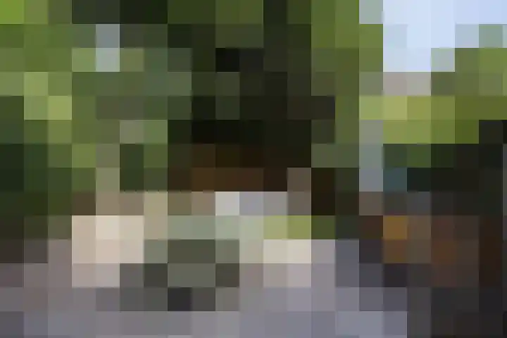Mauritsstraat 32 Utrecht thumbnail 34