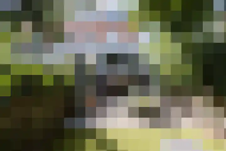Mauritsstraat 32 Utrecht thumbnail 38