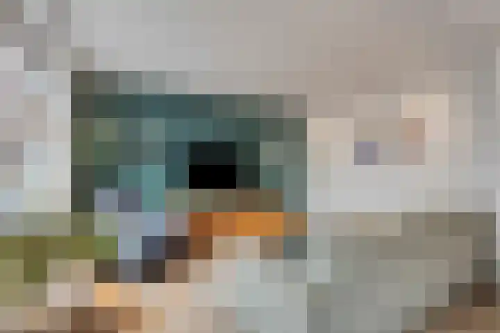 Mauritsstraat 34 Tegelen thumbnail 11