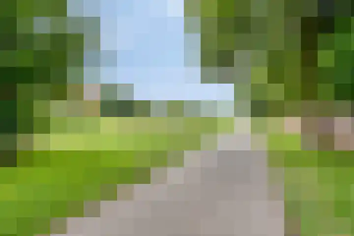 Mauritsstraat 34 Tegelen thumbnail 31