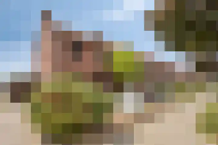 Mauritsstraat 34 Tegelen thumbnail 34