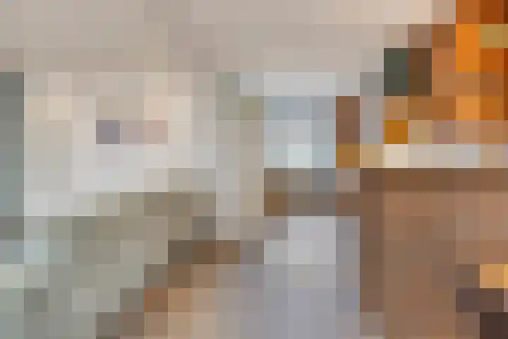 Mauritsstraat 34 Tegelen thumbnail 9