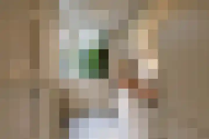 Mauritsstraat 37 Groningen thumbnail 15
