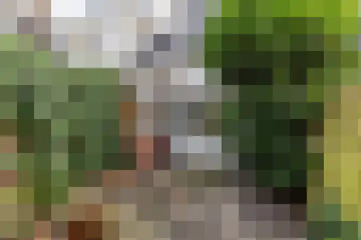 Mauritsstraat 37 Groningen thumbnail 20